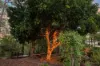120 Hornsey Road, Anstead, Qld 4070-Image
