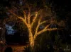 120 Hornsey Road, Anstead, Qld 4070-Image