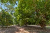 120 Kanagae Drive, Roebuck, WA 6725-Image