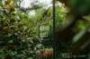 120 Ridge Road, Mount Dandenong, Vic 3767-Image