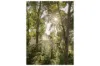 120 Simpsons Road, Currumbin Waters, Qld 4223-Image