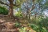 1203 Pelverata Road, Pelverata, Tas 7150-Image