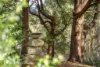1203 Pelverata Road, Pelverata, Tas 7150-Image