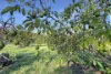 121-143 Western Avenue, Montville, Qld 4560-Image
