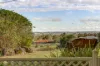 121 Cambooya Street, Drayton, Qld 4350-Image