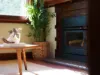 121 David Street, East Devonport, Tas 7310-Image