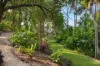 121 Frasers Road, Mullumbimby Creek, NSW 2482-Image