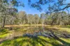 121 Illoura Place, Cooroibah QLD 4565-Image