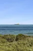 121 Orton Street, Ocean Grove, Vic 3226-Image