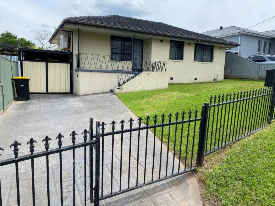 121 Strickland Cres, Ashcroft, NSW 2168