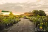 121 Trichet Road, Jandabup, WA 6077-Image
