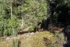 1210 Henty Road, Strahan, Tas 7468-Image