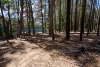 1210 Wheatley Coast Road, Quinninup, WA 6258-Image