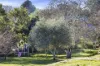 1212 Greenhill Road, Uraidla, SA 5142-Image