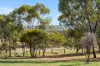 122 Attfield Road, York, WA 6302-Image