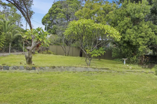 122 Brighton Avenue, Toronto, NSW 2283-Image