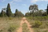 122 King Johns Lane, Yarrawonga, NSW 2850-Image