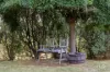 122 Pateena Road, Travellers Rest, Tas 7250-Image