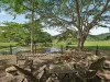 122 Patullo Road, Gregory River, Qld 4800-Image