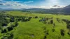 122 Patullo Road, Gregory River, Qld 4800-Image
