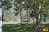 122 Retreat Road, Singleton, NSW 2330-Image