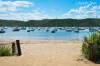 122 Riverview Road, Avalon Beach, NSW 2107-Image