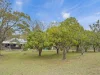 1221B Paddys Flat Road, Tabulam, NSW 2469