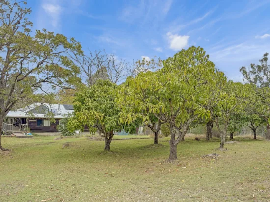 1221B Paddys Flat Road, Tabulam, NSW 2469