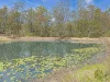 1221B Paddys Flat Road, Tabulam, NSW 2469-Image