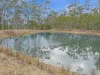 1221B Paddys Flat Road, Tabulam, NSW 2469-Image