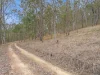 1221B Paddys Flat Road, Tabulam, NSW 2469-Image