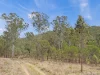 1221B Paddys Flat Road, Tabulam, NSW 2469-Image