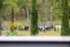 123 Appaloosa Drive, Conondale QLD 4552-Image