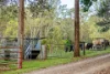 123 Appaloosa Drive, Conondale QLD 4552-Image