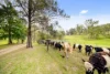 123 Appaloosa Drive, Conondale QLD 4552-Image