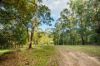 123 Appaloosa Drive, Conondale QLD 4552-Image