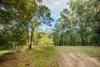 123 Appaloosa Drive, Conondale QLD 4552-Image