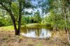 123 Appaloosa Drive, Conondale QLD 4552-Image