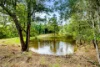 123 Appaloosa Drive, Conondale QLD 4552-Image
