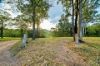123 Appaloosa Drive, Conondale QLD 4552-Image
