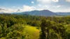 123 Appaloosa Drive, Conondale QLD 4552-Image