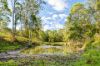 123 Appaloosa Drive, Conondale QLD 4552-Image