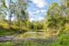 123 Appaloosa Drive, Conondale QLD 4552-Image
