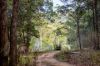 123 Appaloosa Drive, Conondale QLD 4552-Image