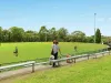 123 Ashley Street, Roseville, NSW 2069-Image