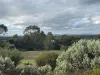 123 Braidwood Road, Mount Barker, WA 6324-Image