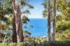 123 Cape Three Points Road, Avoca Beach, NSW 2251-Image