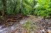 123 Ironbark Road, Diwan, Daintree, Qld 4873-Image