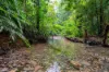 123 Ironbark Road, Diwan, Daintree, Qld 4873-Image
