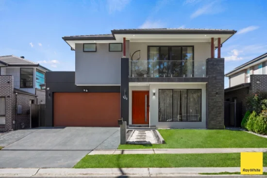 123 Sawsedge Avenue, Denham Court, NSW 2565